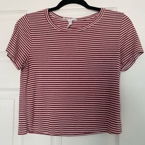 CAUTION TO THE WIND Crop Top